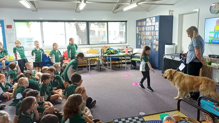 A class sitting on the floor with the school therapy dog